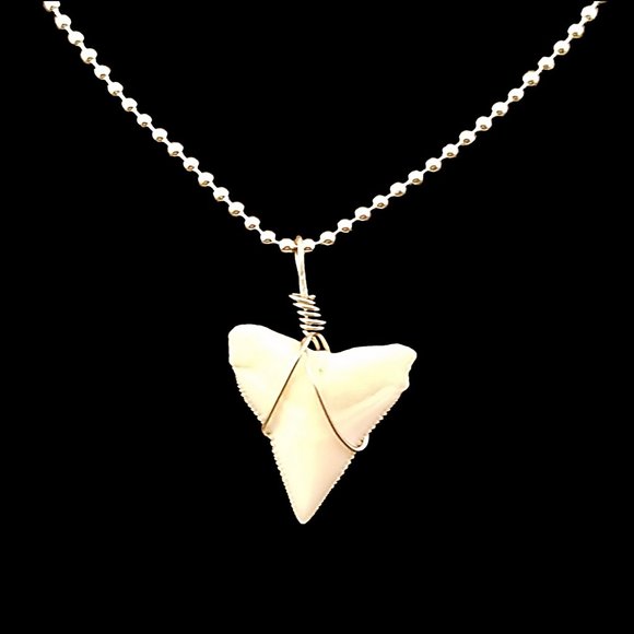 Anklet 925 Sterling Silver Chain and Real Shark Tooth Charm - Picture 1 of 5